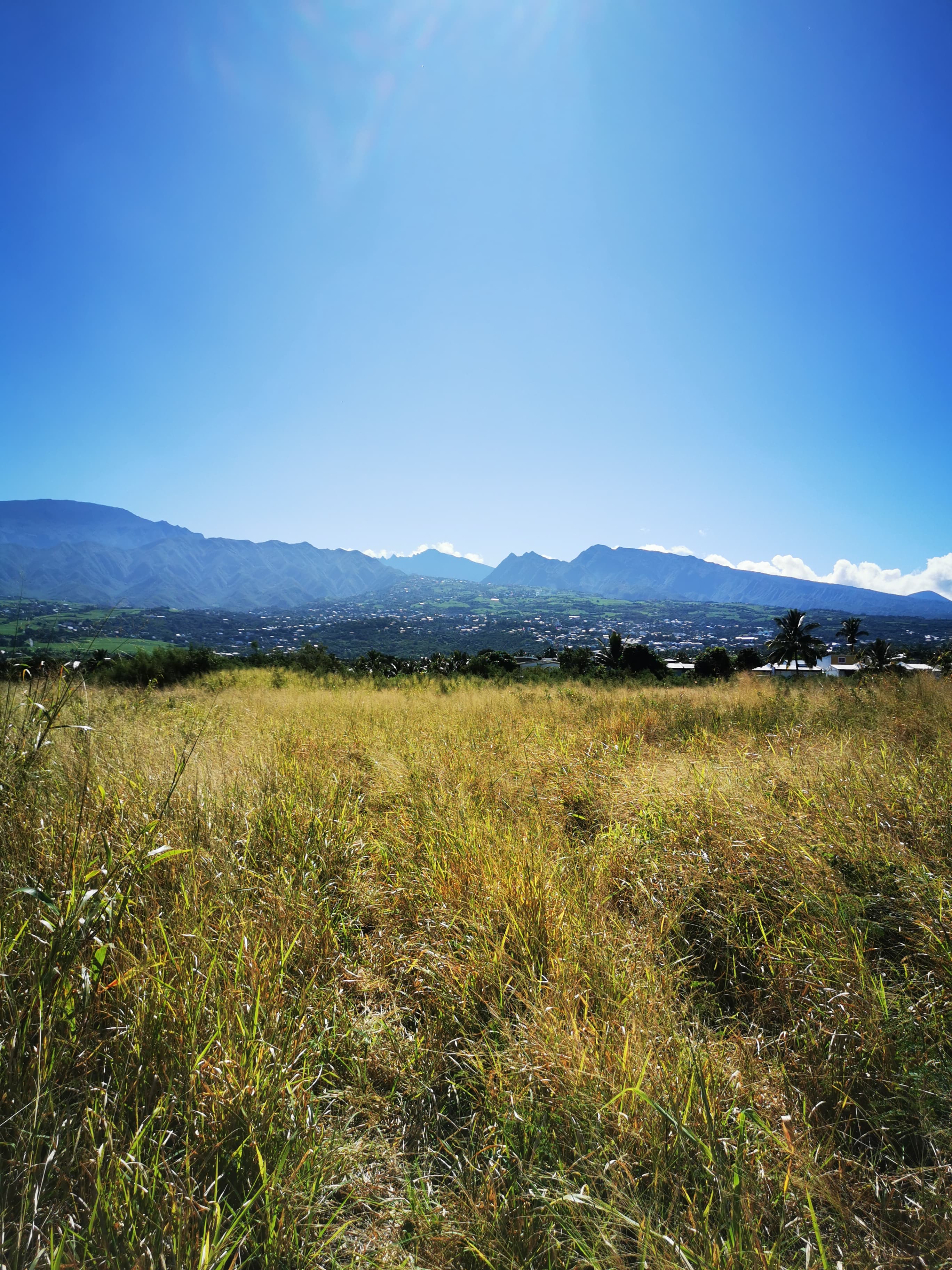 Terrain à batir — photo 1